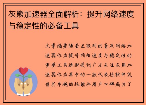 灰熊加速器全面解析：提升网络速度与稳定性的必备工具